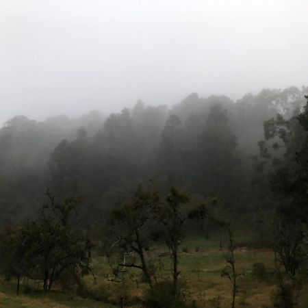 Cabana Romantica En El Bosque! Acaxochitlán Zewnętrze zdjęcie