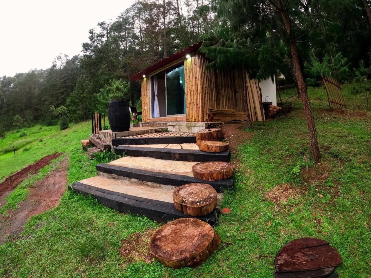 Cabana Romantica En El Bosque! Acaxochitlán Zewnętrze zdjęcie
